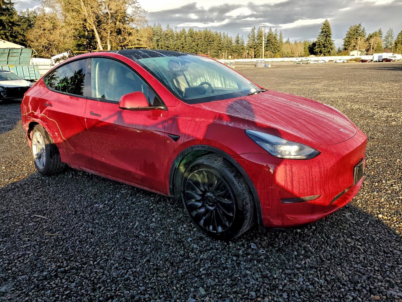 2021 TESLA MODEL Y photo 7