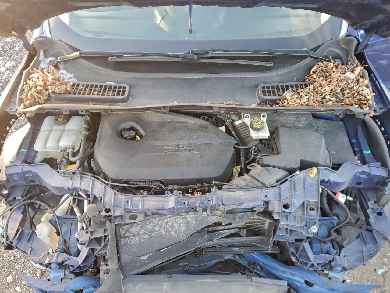 2014 FORD ESCAPE SE photo 23
