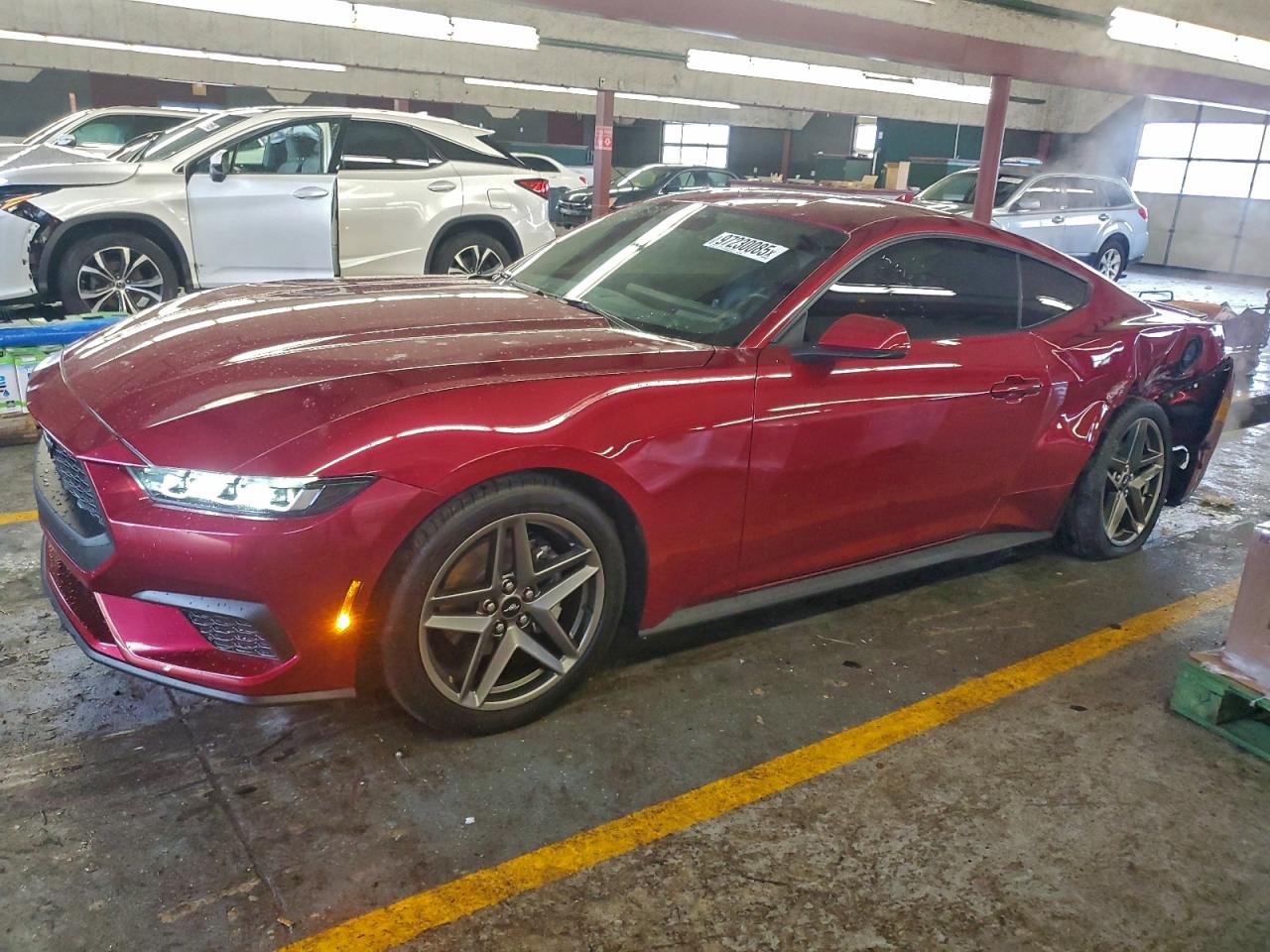 2025 FORD MUSTANG