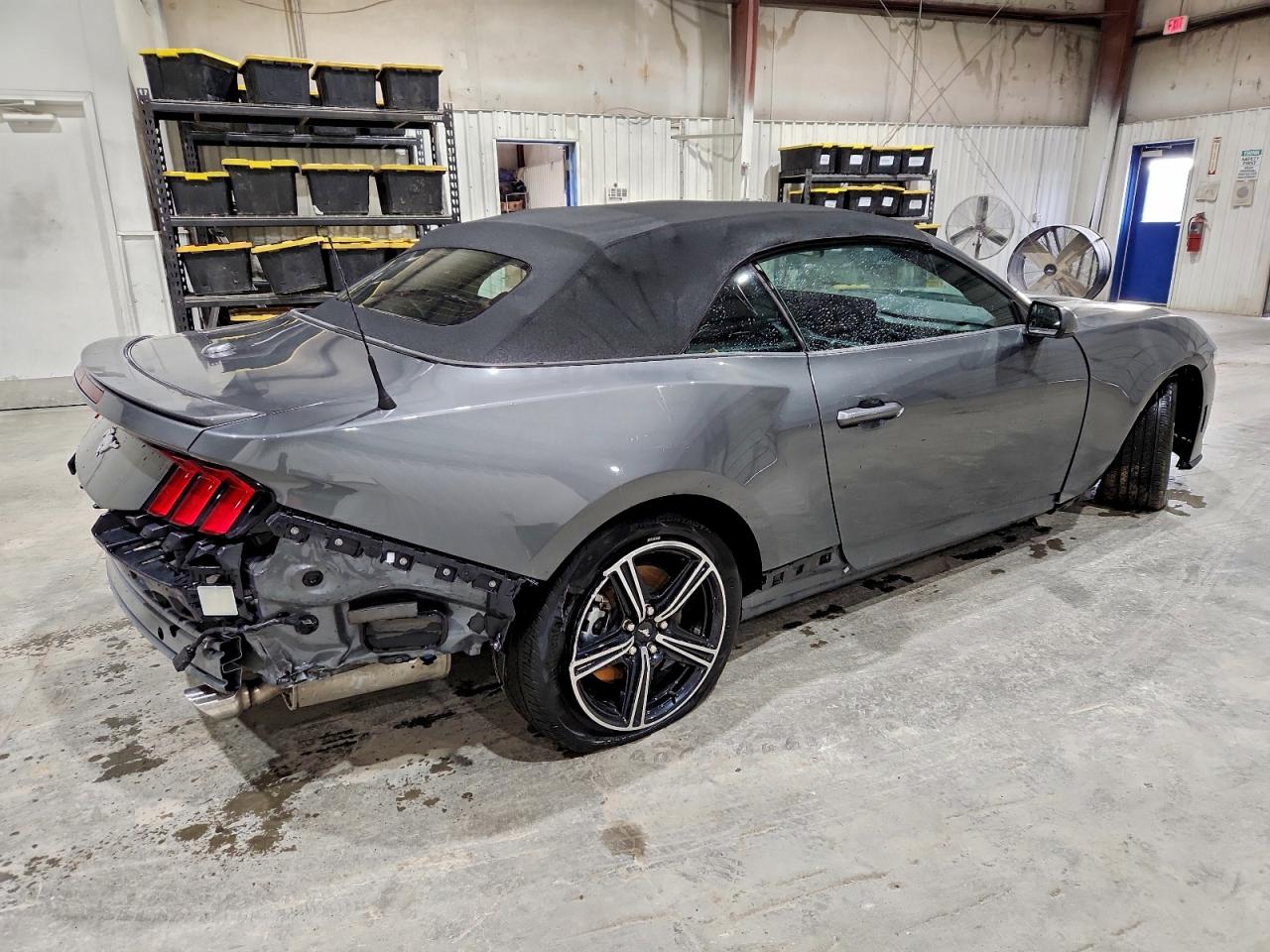 2025 FORD MUSTANG photo 7