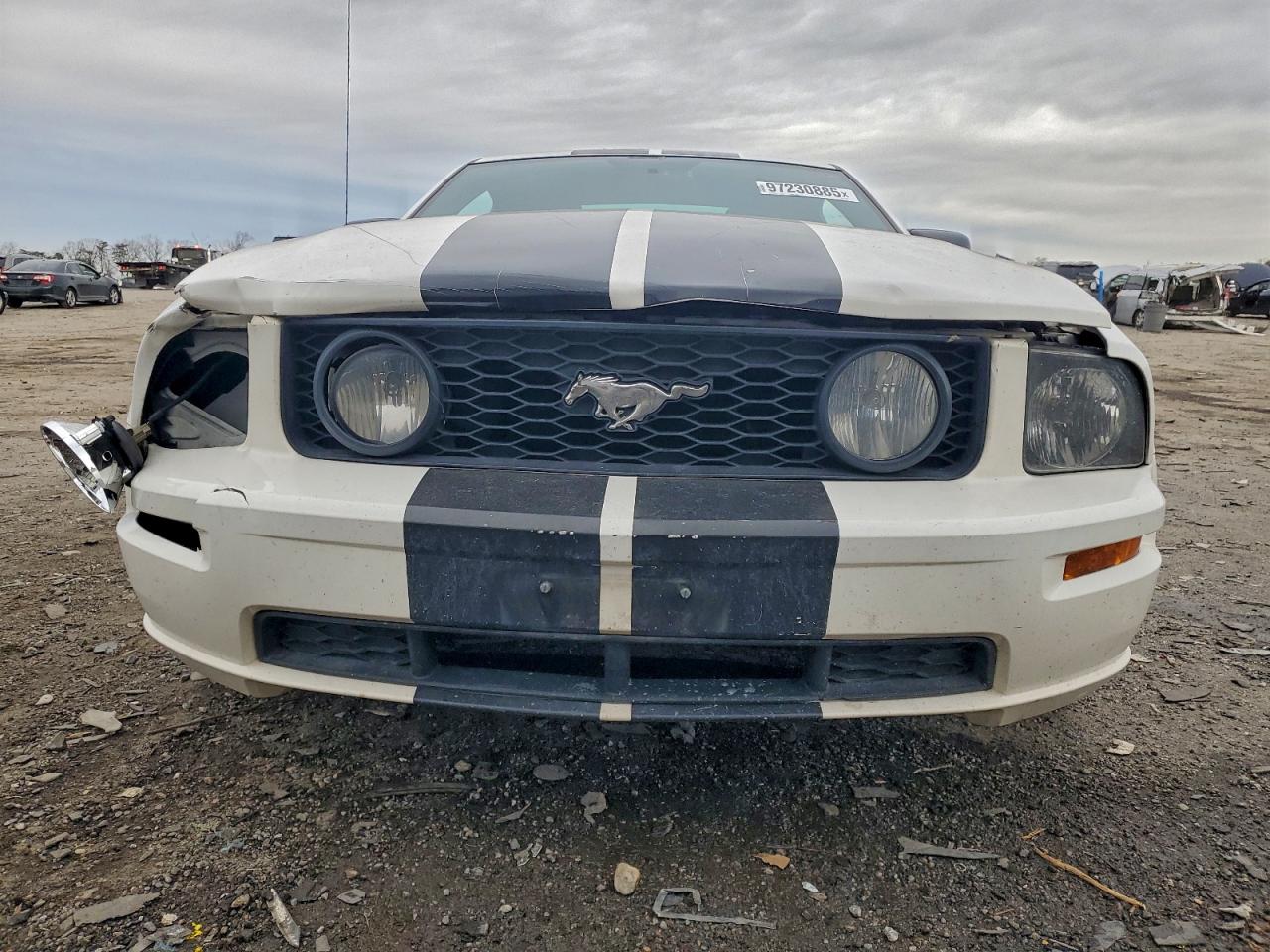 2006 FORD MUSTANG GT photo 9