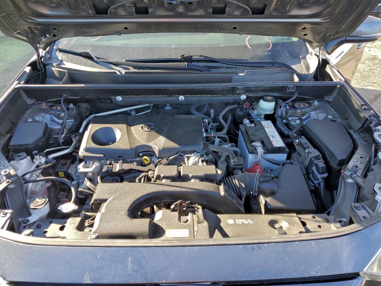 2019 TOYOTA RAV4 XLE photo 21