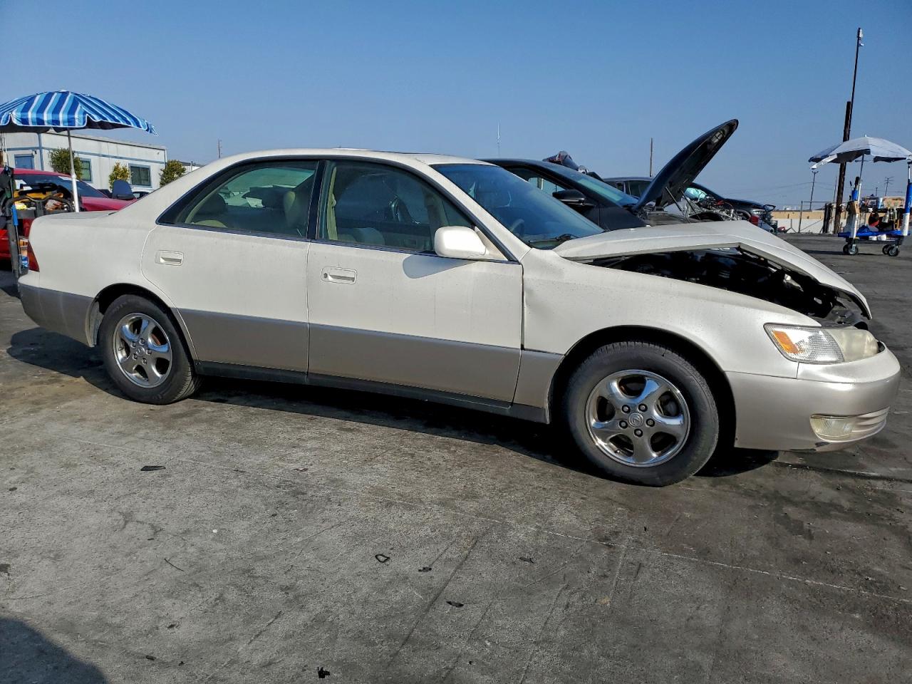 1998 LEXUS ES 300 photo 7