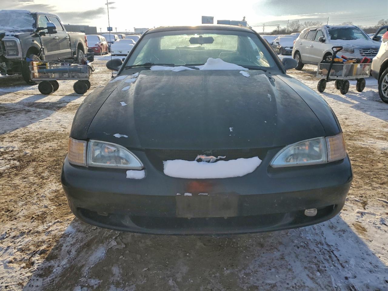 1998 FORD MUSTANG photo 9