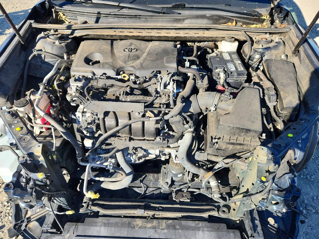 2020 TOYOTA CAMRY SE photo 11