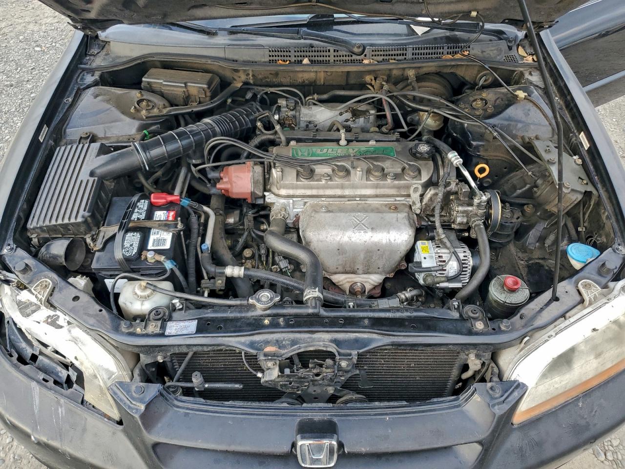 1999 HONDA ACCORD LX photo 11