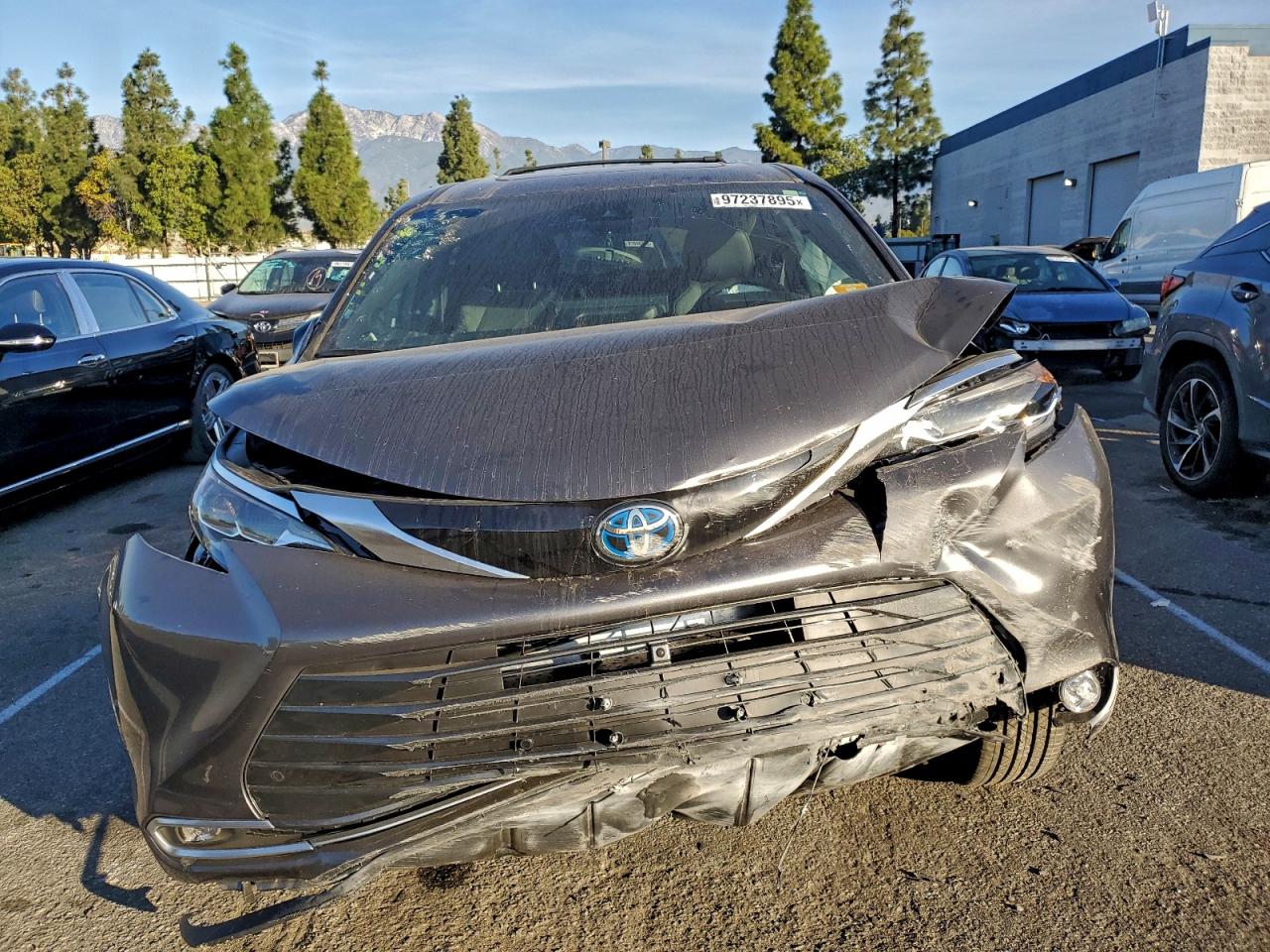 2025 TOYOTA SIENNA LIMITED photo 12