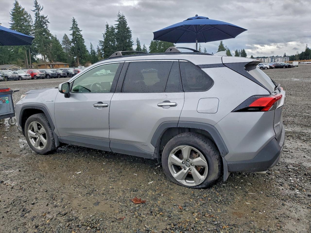 2019 TOYOTA RAV4 LIMITED photo 2