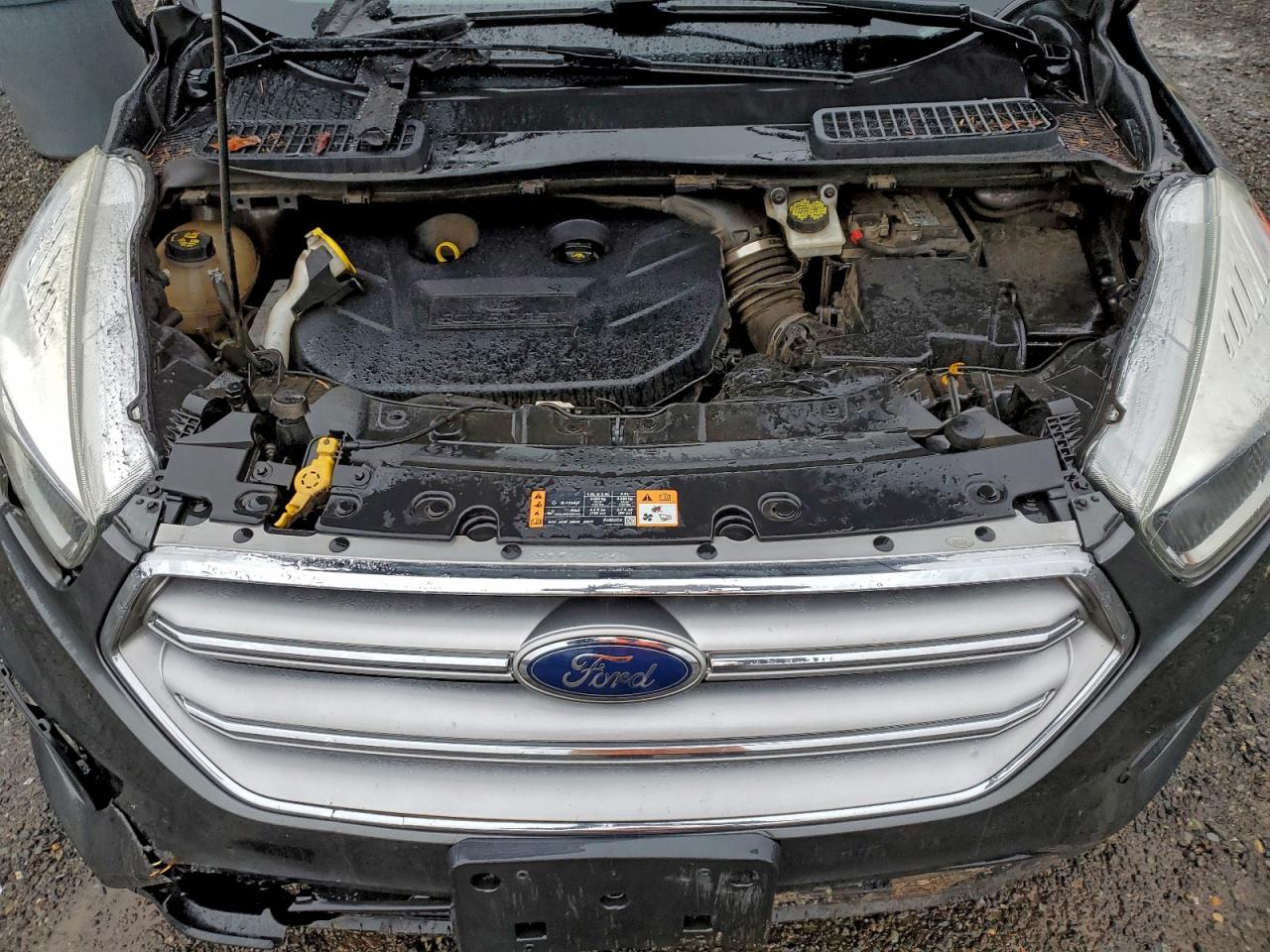 2017 FORD ESCAPE SE photo 34