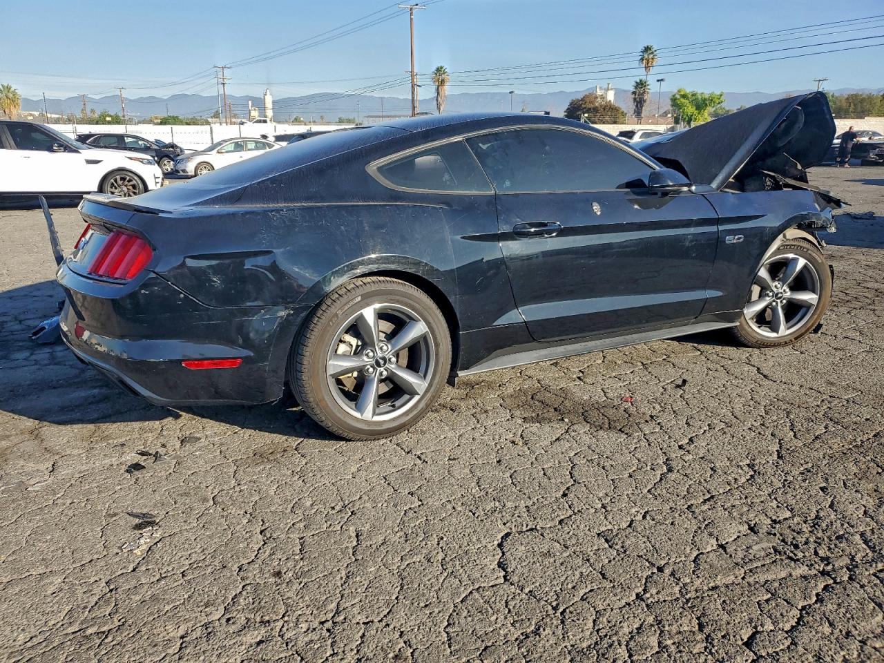 2015 FORD MUSTANG GT photo 5