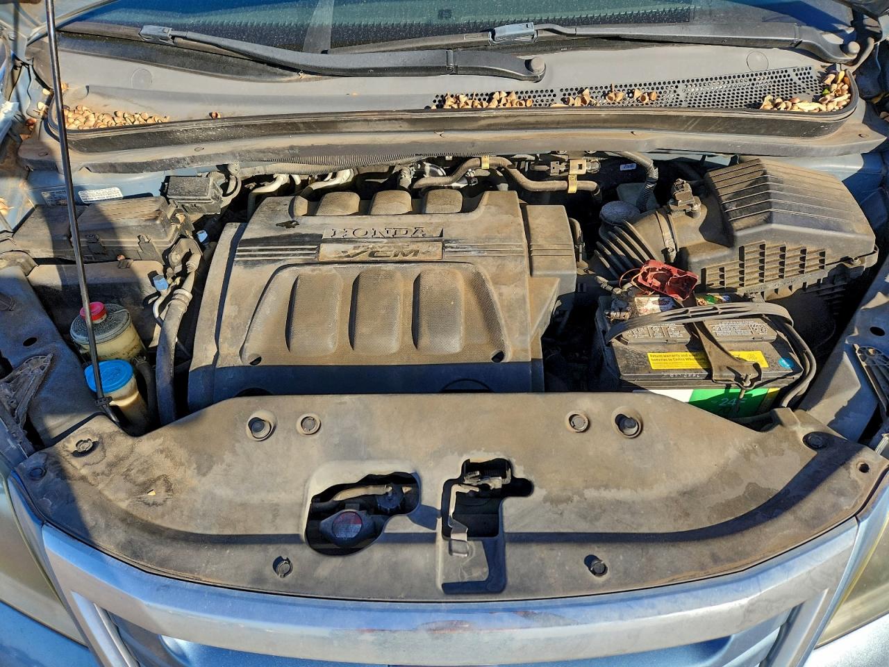2008 HONDA ODYSSEY EXL photo 11