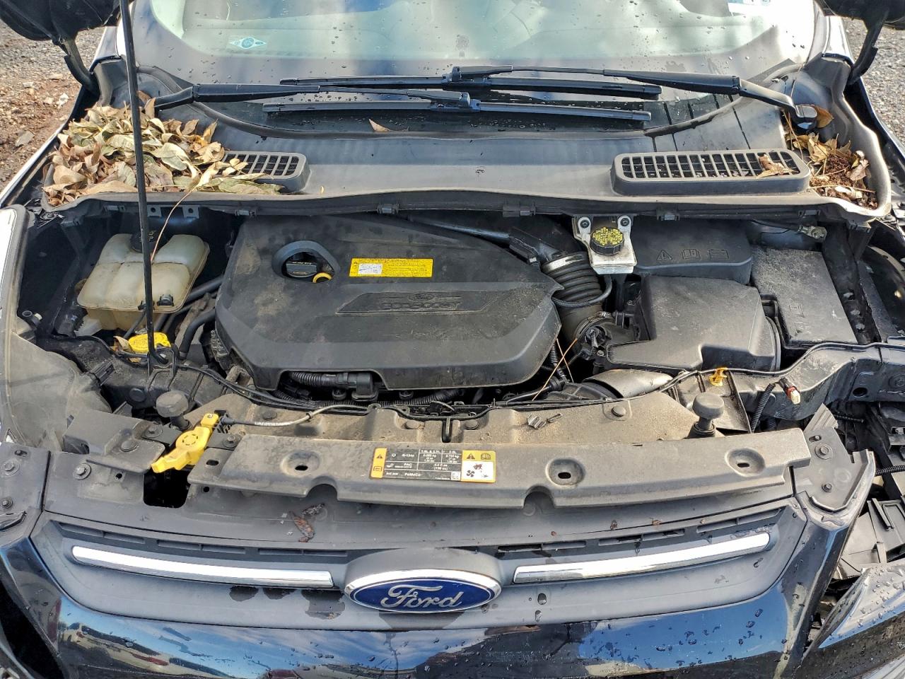 2016 FORD ESCAPE SE photo 12