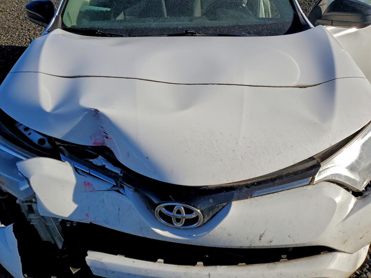 2016 TOYOTA RAV4 LE photo 34