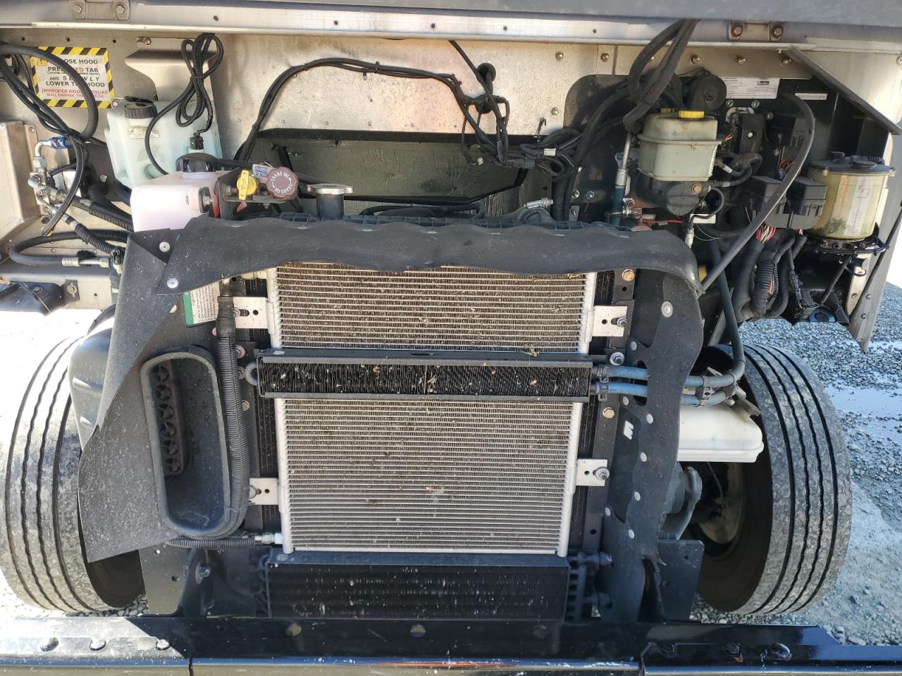 2020  CHASSIS M - DELIVERY VAN photo 23