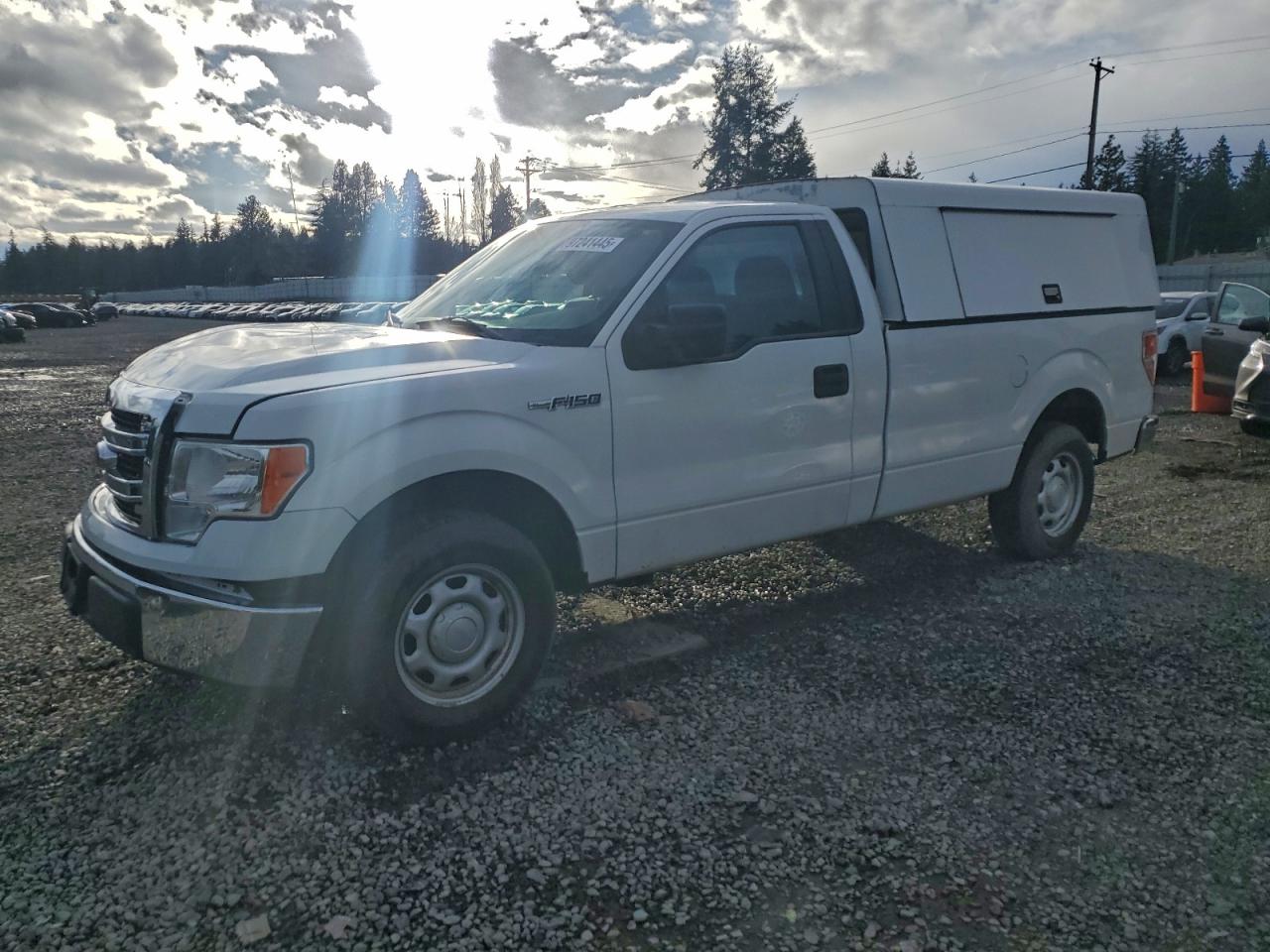 2013 FORD F150