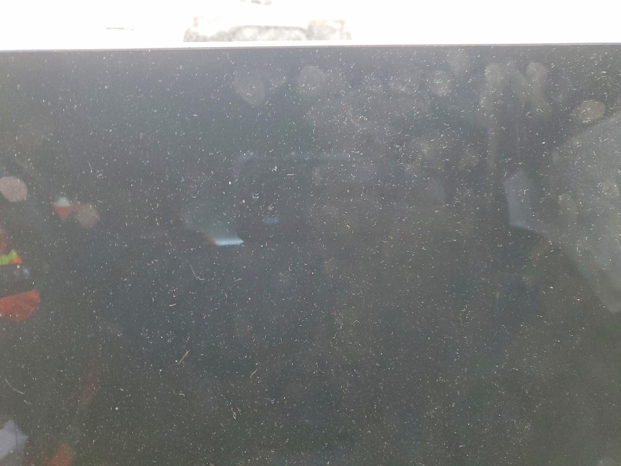 2021 TESLA MODEL 3 photo 25