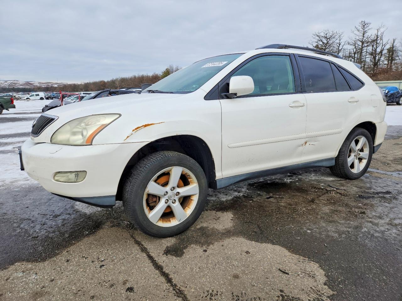 2006 LEXUS RX