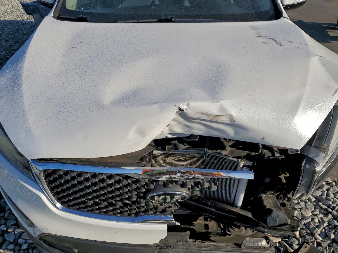 2017 KIA SORENTO LX photo 12