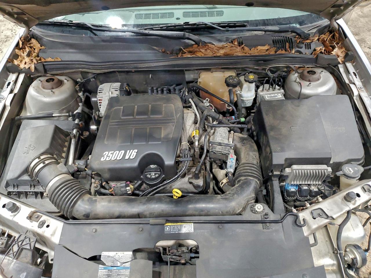 2006 CHEVROLET MALIBU MAXX LT photo 11
