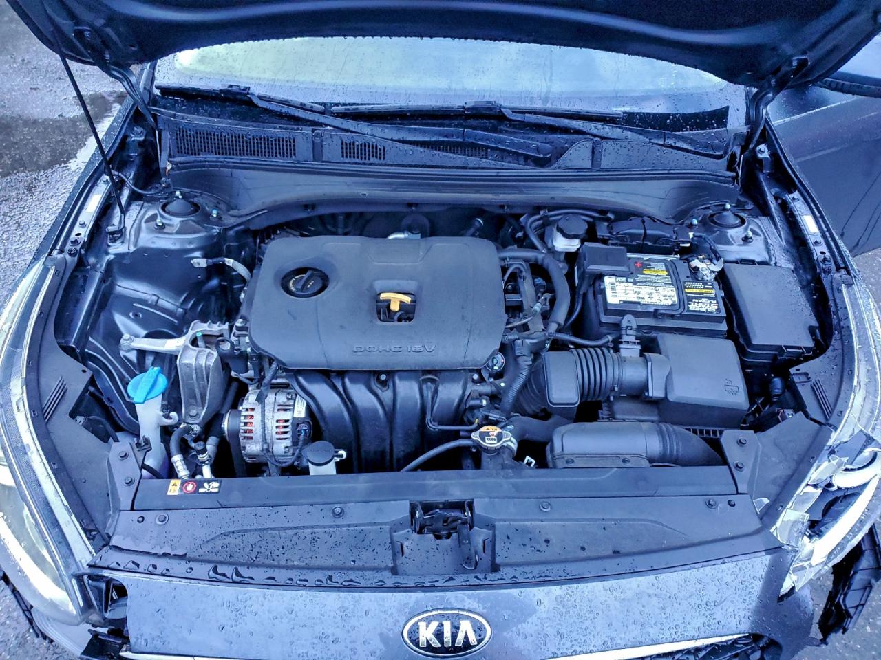 2019 KIA FORTE FE photo 11