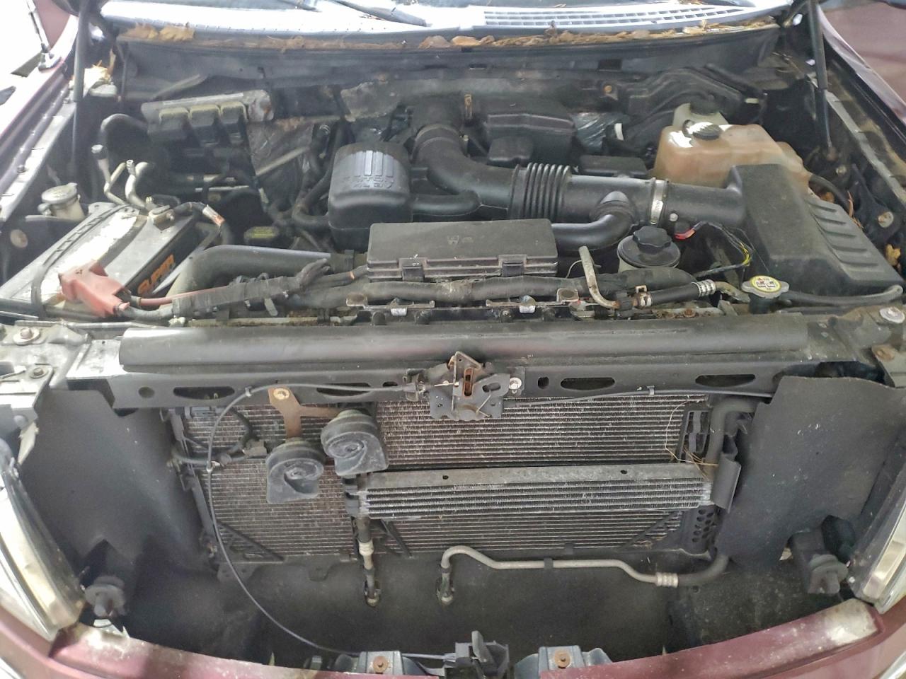 2010 FORD F150 SUPERCREW photo 11