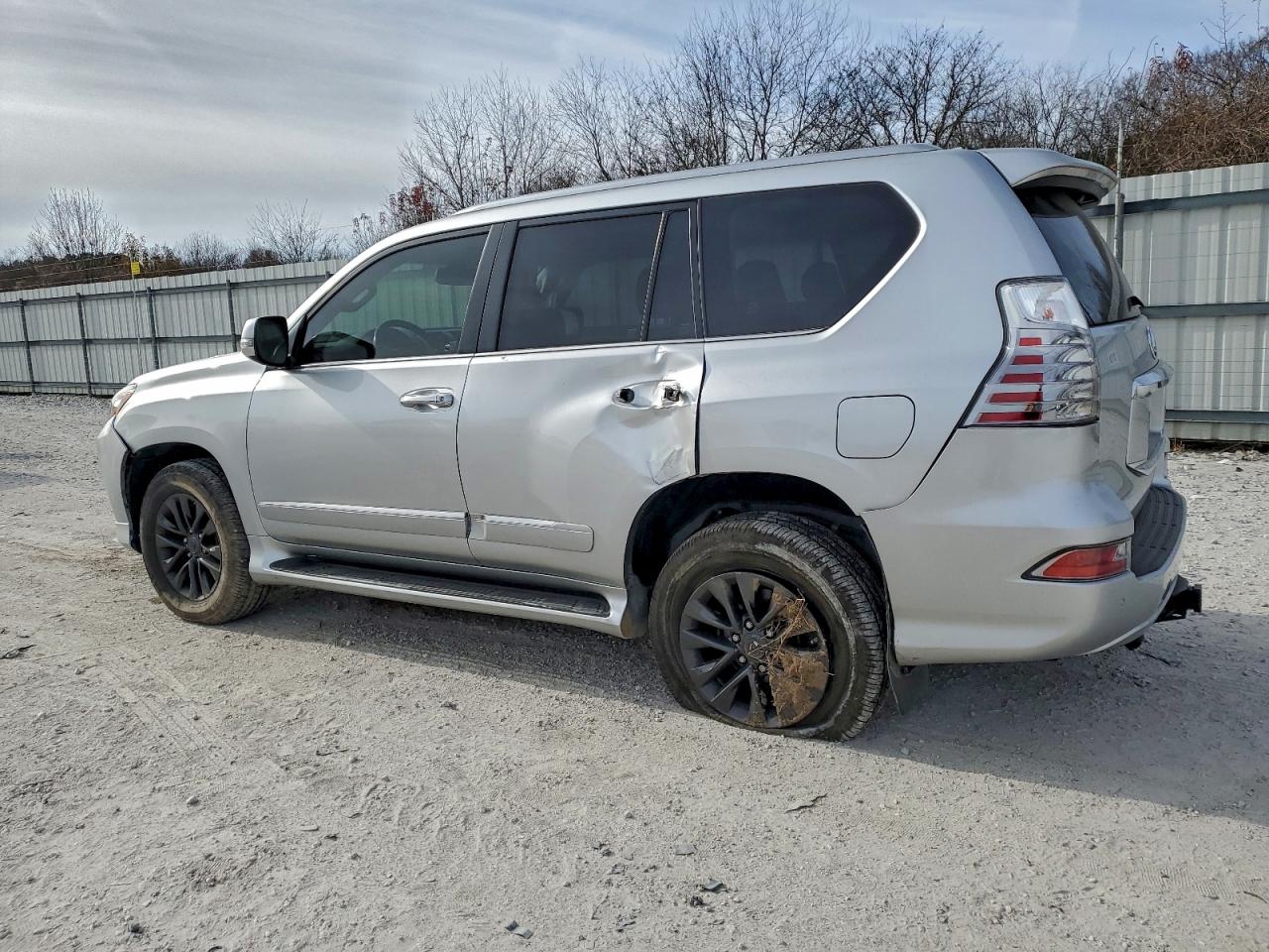 2019 LEXUS GX 460 photo 3