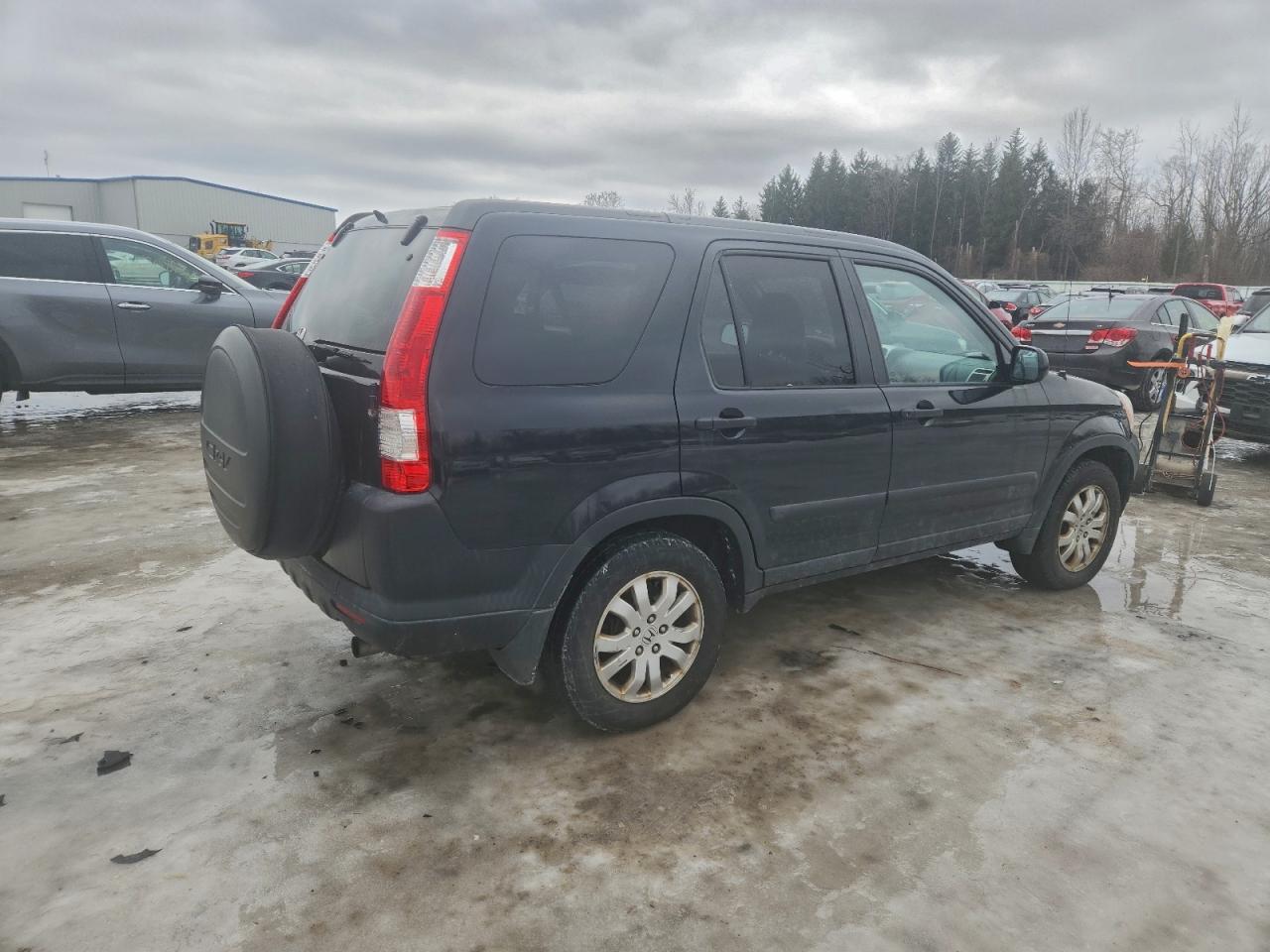 2005 HONDA CR-V EX photo 7
