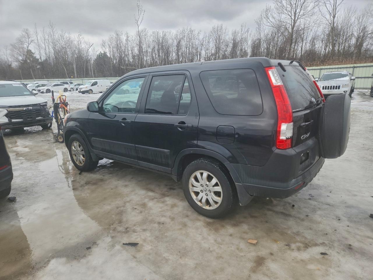 2005 HONDA CR-V EX photo 4