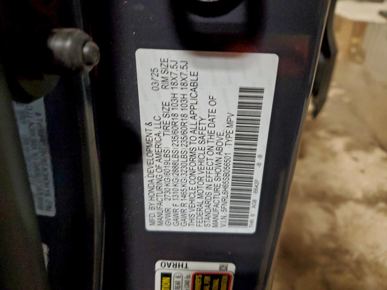 2025 HONDA ODYSSEY EXL photo 13