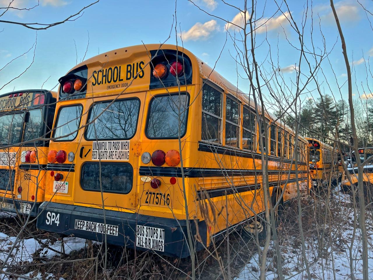 2015 BLZS SCHOOL BUS - TRANSIT VEHICLES SCHOOL BUS photo 7