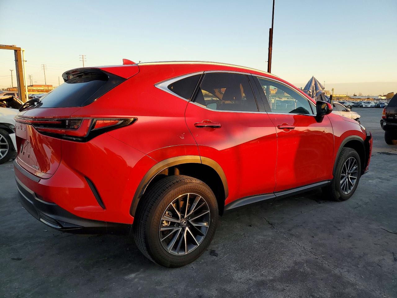 2024 LEXUS NX 250 BASE photo 3