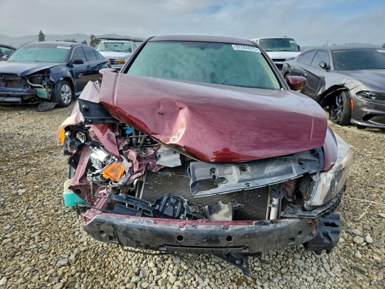 2012 HONDA ACCORD LXP photo 5