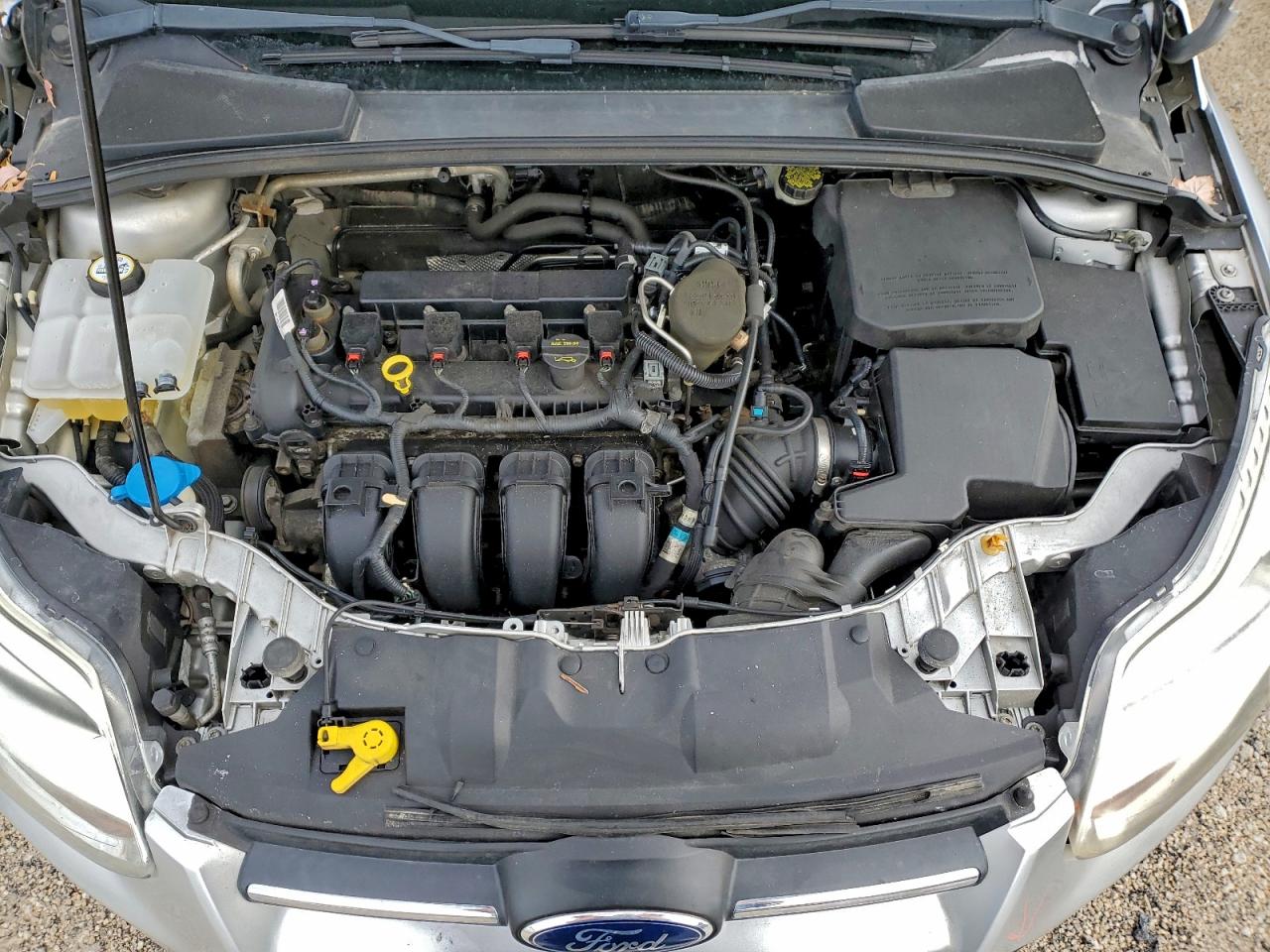 2013 FORD FOCUS SE photo 11