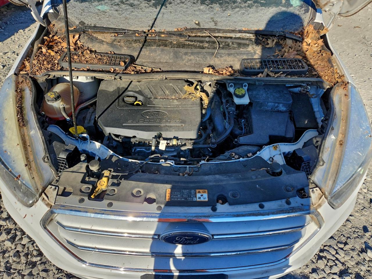 2018 FORD ESCAPE SE photo 12