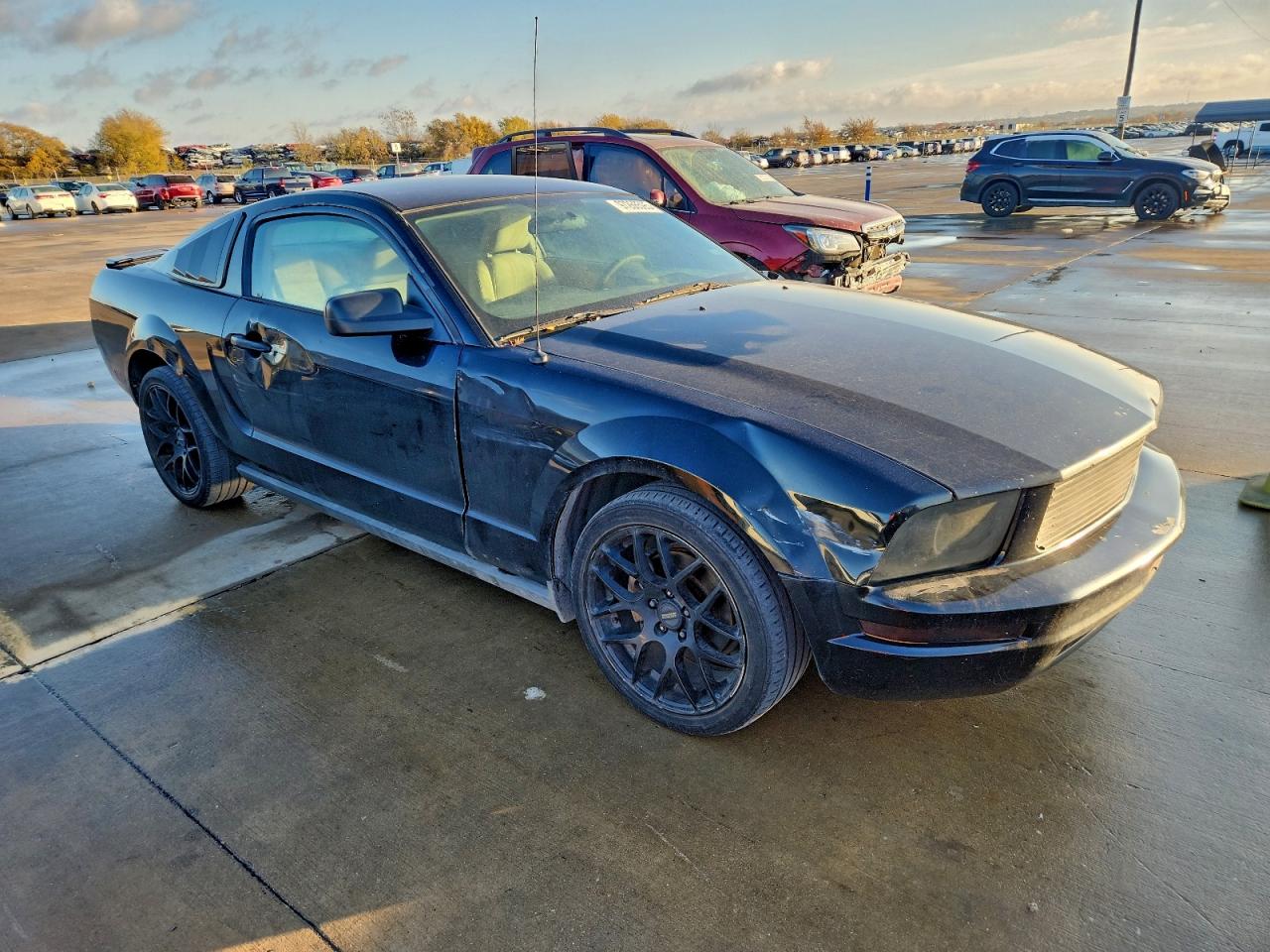 2007 FORD MUSTANG photo 10