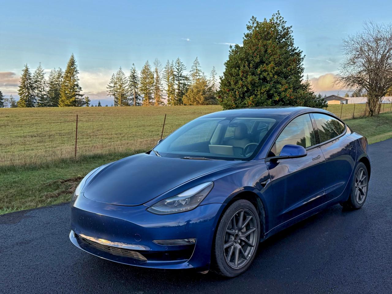 2022 TESLA MODEL 3 photo 2