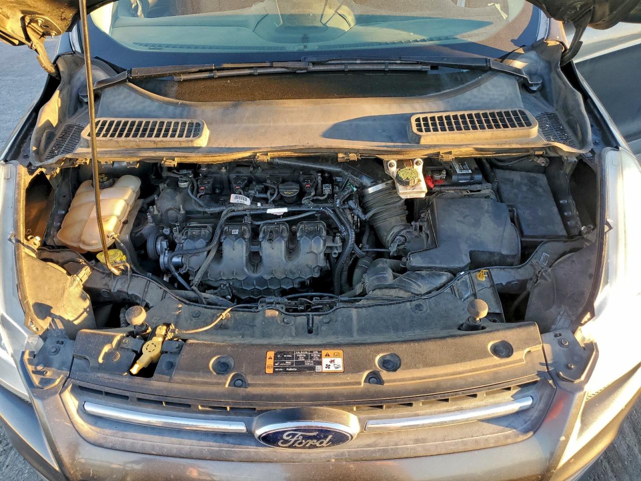 2016 FORD ESCAPE SE photo 12