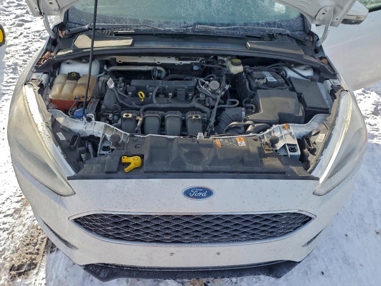 2017 FORD FOCUS SE photo 11