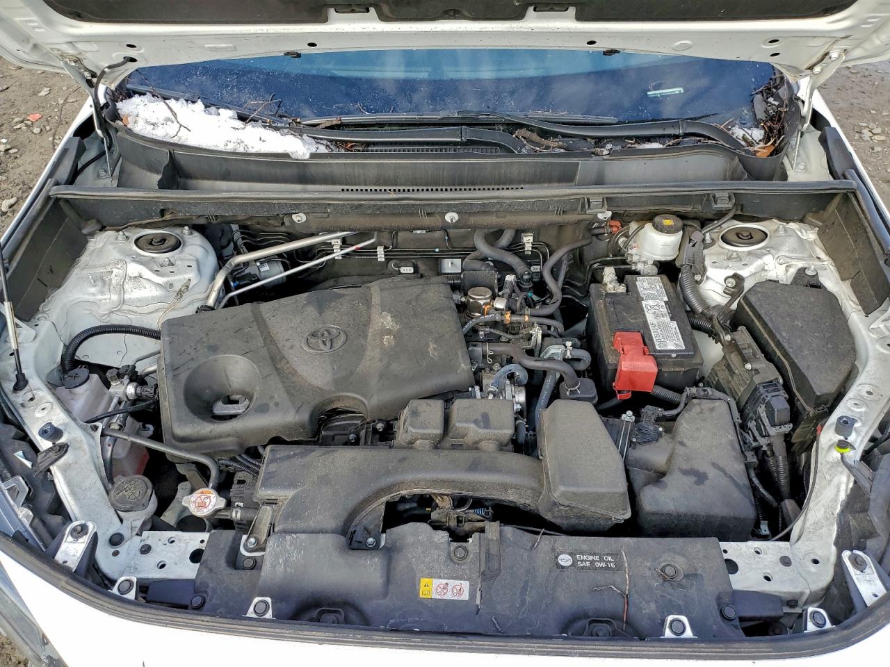 2022 TOYOTA RAV4 LE photo 12