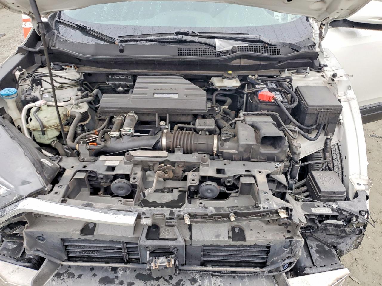 2018 HONDA CR-V EXL photo 12