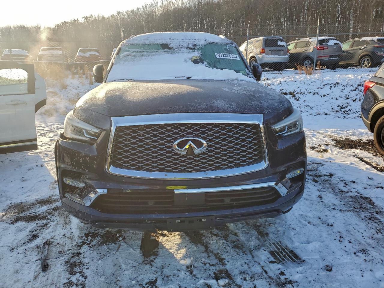 2019 INFINITI QX80 LUXE photo 5