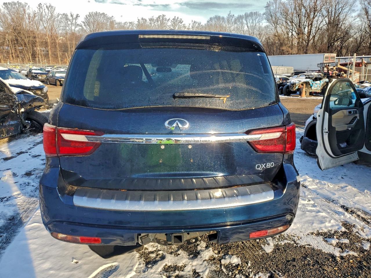 2019 INFINITI QX80 LUXE photo 6