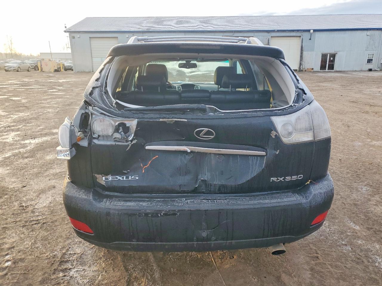 2008 LEXUS RX 350 photo 11