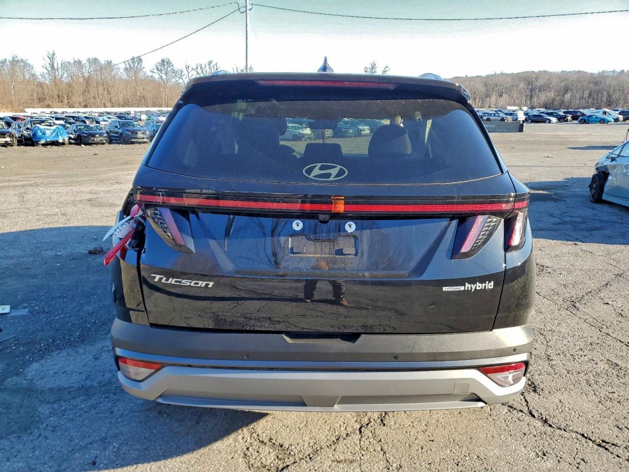 2025 HYUNDAI TUCSON LIMITED photo 6