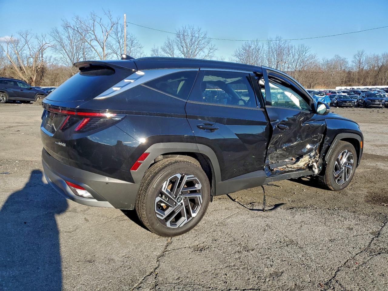 2025 HYUNDAI TUCSON LIMITED photo 3