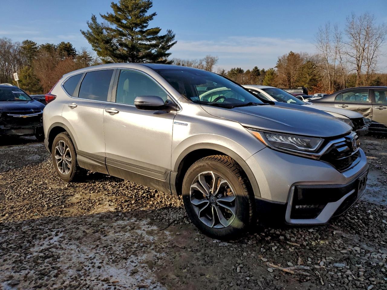 2020 HONDA CR-V EXL photo 4