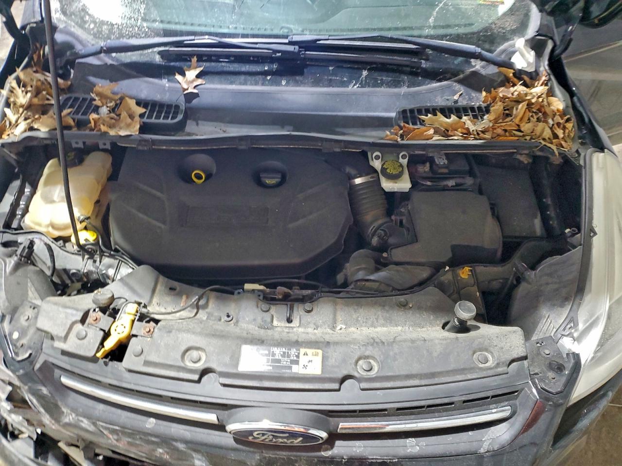 2015 FORD ESCAPE SE photo 12