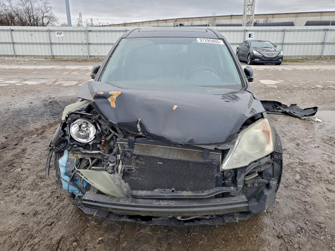 2010 HONDA CR-V EXL photo 5