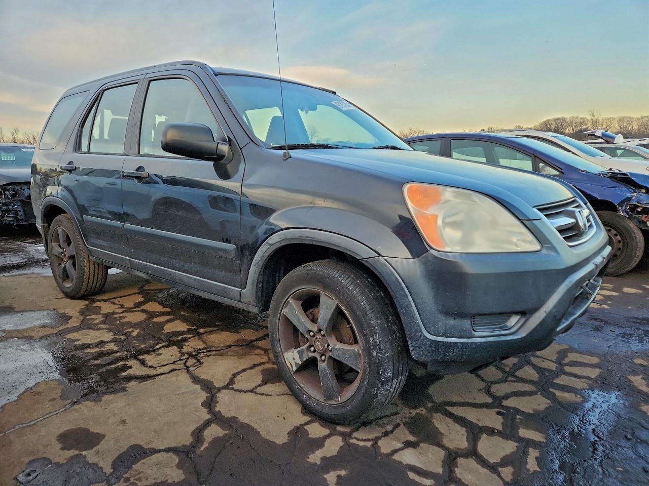 2004 HONDA CR-V LX photo 4