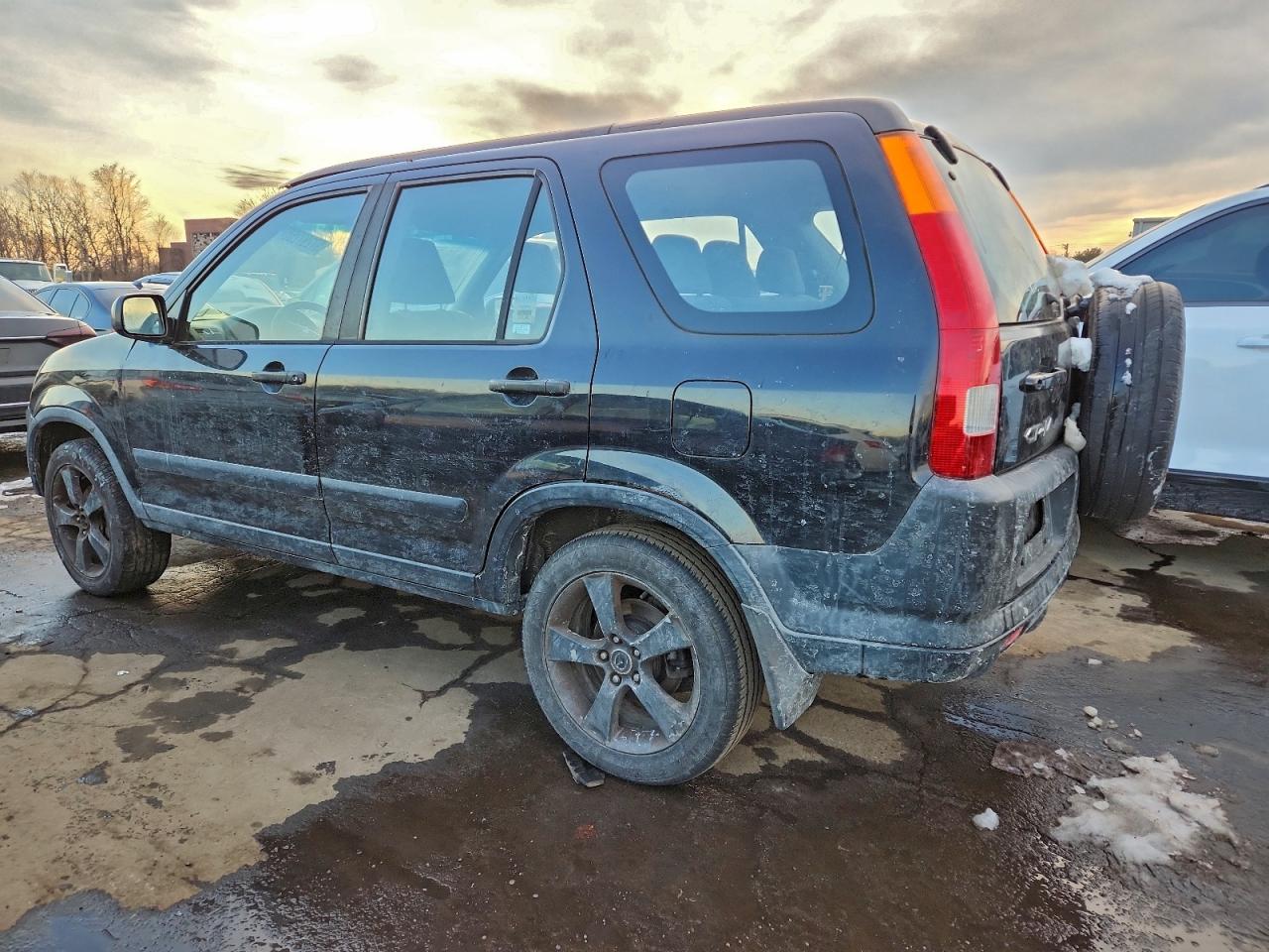 2004 HONDA CR-V LX photo 2